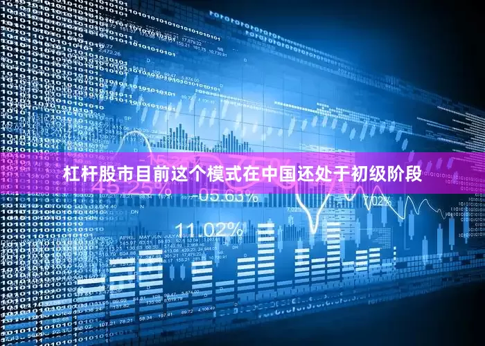 杠杆股市目前这个模式在中国还处于初级阶段