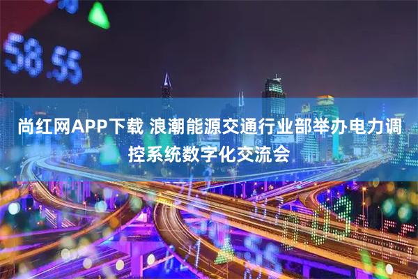 尚红网APP下载 浪潮能源交通行业部举办电力调控系统数字化交流会