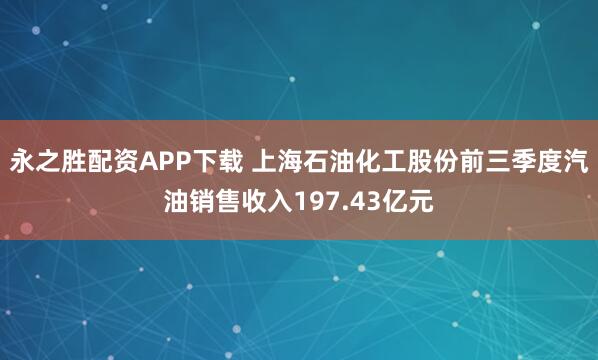 永之胜配资APP下载 上海石油化工股份前三季度汽油销售收入197.43亿元